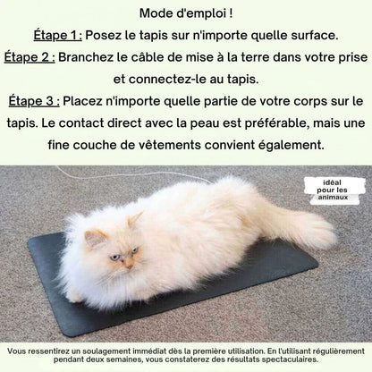 Alfombrilla de conexión a tierra